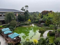 -成都安仁福朋喜来登酒店