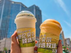 -茉酸奶(春熙路店)