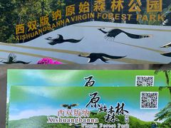 -西双版纳原始森林公园