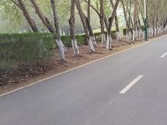 -长白岛森林公园