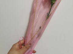 -极致味道动物奶油生日蛋糕(时尚店)