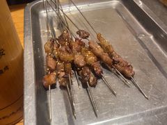 -福苗小骆驼烧烤(莲湖路店)