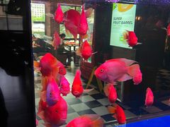 -胖哥俩肉蟹煲(海盐总店)