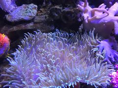 -左海海底世界