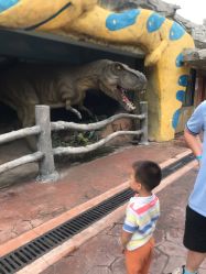 点击看大图 -宝燕乐园(闵行旗舰店)