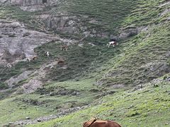 -迪卡侬(土桥店)