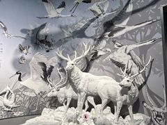 -中国湿地博物馆