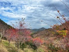 -四明山国家森林公园