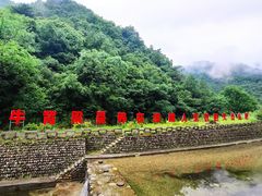 -牛背梁国家森林公园