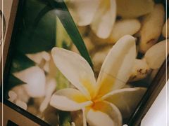 -东方之珠洗浴休闲广场(和平店)