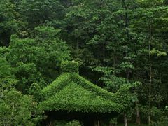 -云溪植物园