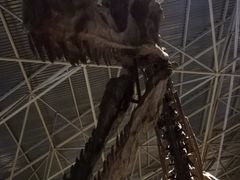 景点-世界恐龙谷景区