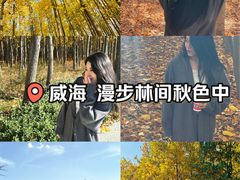 -羊亭河湿地公园