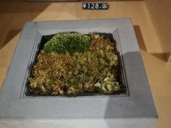 -三联韬奋书店(宽窄巷子店)
