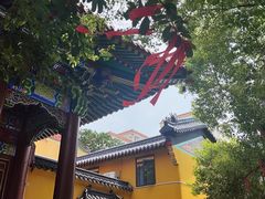 -宝通禅寺