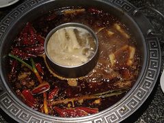 -杨肥肠火锅大排档(火车站花园店)