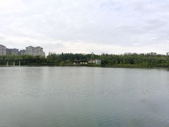 -昆山城市生态森林公园