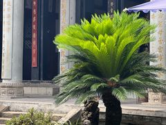 -都江堰普照寺