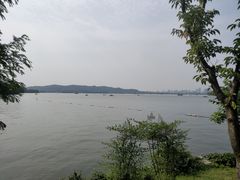 -浙江西子宾馆·牡丹厅