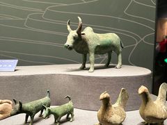 -广西壮族自治区博物馆