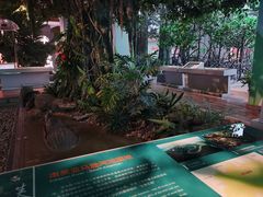 -中国湿地博物馆