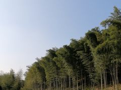 -宁波浙东大竹海景区