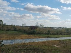 -盐城丹顶鹤湿地生态旅游区