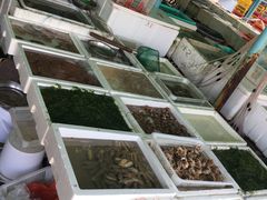 -外伶仃岛海鲜市场