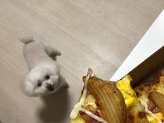 -达美乐比萨(石景山万达店)