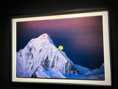 -罗红摄影艺术馆