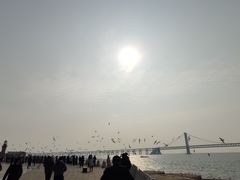 -星海湾跨海大桥