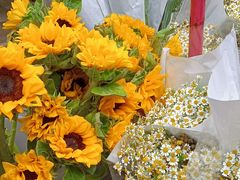 -循礼门鲜花花市(武汉循礼门店)