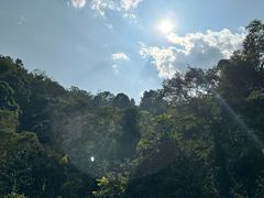 -野象谷景区