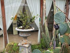 -Jo's Garden