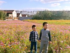 -上海长兴岛郊野公园