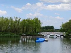 -大兴滨河森林公园