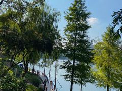 -重庆彩云湖湿地公园