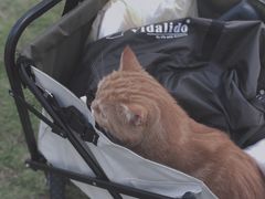 -钟山体育运动公园