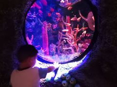 -沈阳海洋探索中心