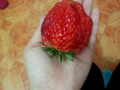 -边江铁锅炖鱼(振八街店)