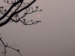 -吴淞炮台湾湿地森林公园烧烤区