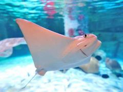 -沈阳海洋探索中心