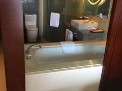 -南桥绿地铂骊酒店