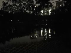 -福田红树林生态公园