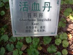 -广州神农草堂中医药博物馆