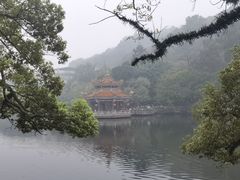 -潮镇老尾牛杂(环城西路店)