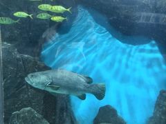 -福州罗源湾海洋世界旅游区