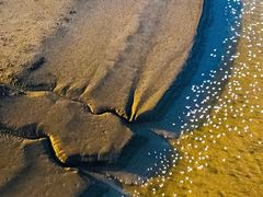 -盐城丹顶鹤湿地生态旅游区