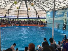 -尼莫海豚馆