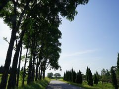 -秦始皇帝陵博物院-丽山园